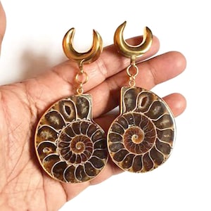 Peut inclure: Une paire d'écarteurs d'oreilles dorés avec un motif de croissant de lune et un pendentif en ammonite fossile brun.