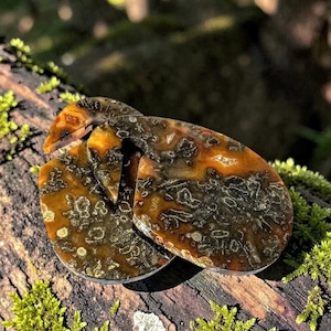 May include: A collection of polished, teardrop-shaped stones with a distinctive pattern. The stones display a blend of dark brown, black, and golden-orange tones. The natural stone pieces are presented on a moss-covered log, emphasising their organic charm.