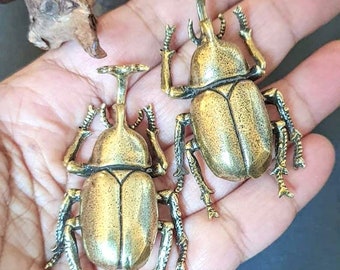 Op de afbeelding: Twee gedetailleerde messing keverbeeldjes. Elke kever heeft een getextureerd lichaam, zes poten en een kenmerkende hoornachtige uitsteeksel. De kevers worden op een hand getoond, waarbij hun ingewikkelde ontwerp en metallic glans worden getoond. Het algemene thema is door insecten geïnspireerde decoratie.