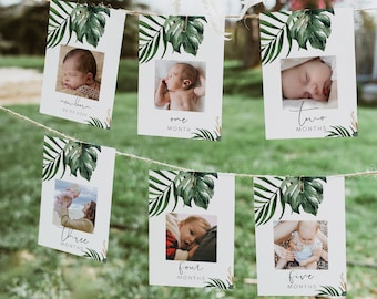 Tropical & Gold First Birthday Photo Banner, Summer Palm Leaf 1st birthday photo banner Printable monthly milestone tropical Baby shower 119