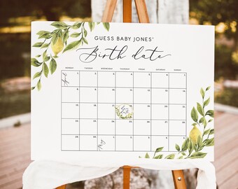 Bord met verjaardagskalender met citroenthema. Bewerkbaar bord voor baby's uitgerekende datum spel Geel genderneutraal babyshower vervaldatum kalender citrus 122