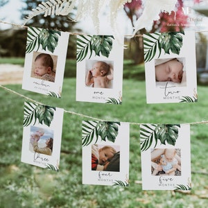 Banner fotografico per il primo compleanno tropicale e oro, banner fotografico per il primo compleanno con foglie di palma estive, stampabile, tema mensile tropicale Baby shower 119