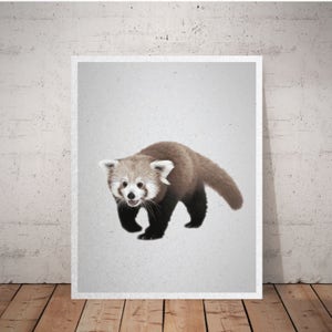 Red Panda Print, forest animal nursery, forest animal prints, animal posters, animal photography, baby animals, safari nursery decor