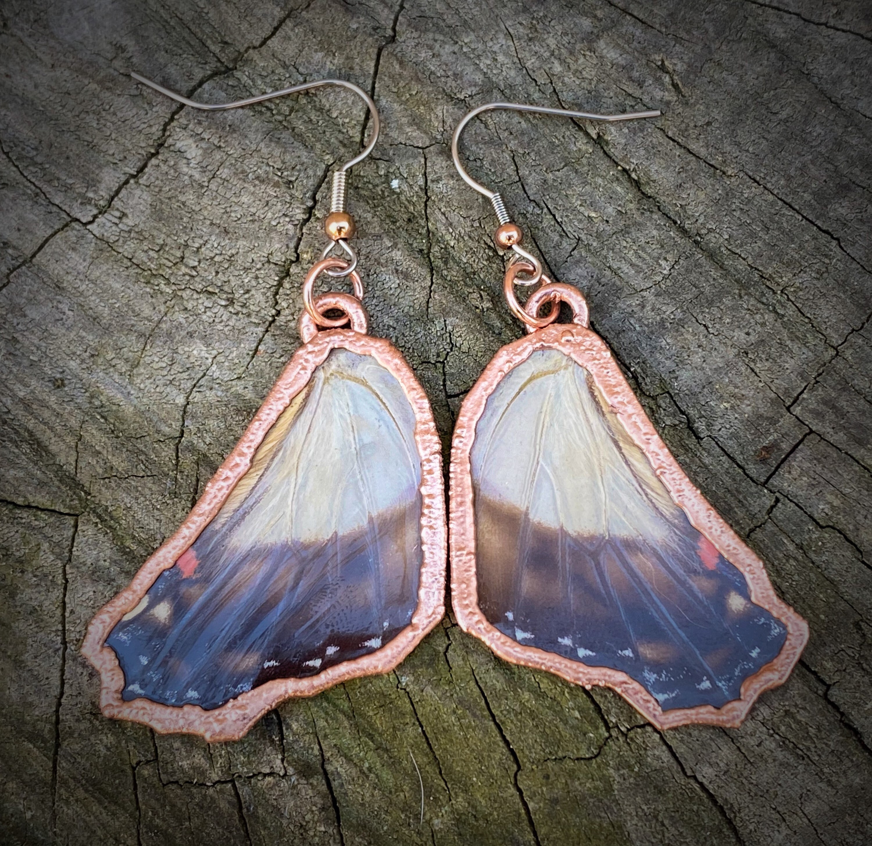 Butterfly wing earrings Electroformed jewelry insect fashion