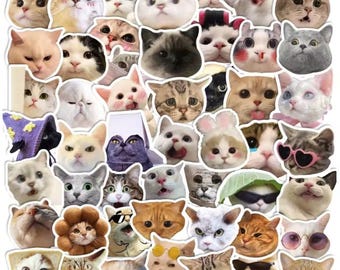 10 Random Funny Cat Stickers Waterproof Vinyl Decals Meme Cat Sticker Pack 1.5 Inch