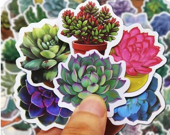 10 Succulent Gardening Stickers Random Assorted Plant Decals Laptop Water Bottle Journal