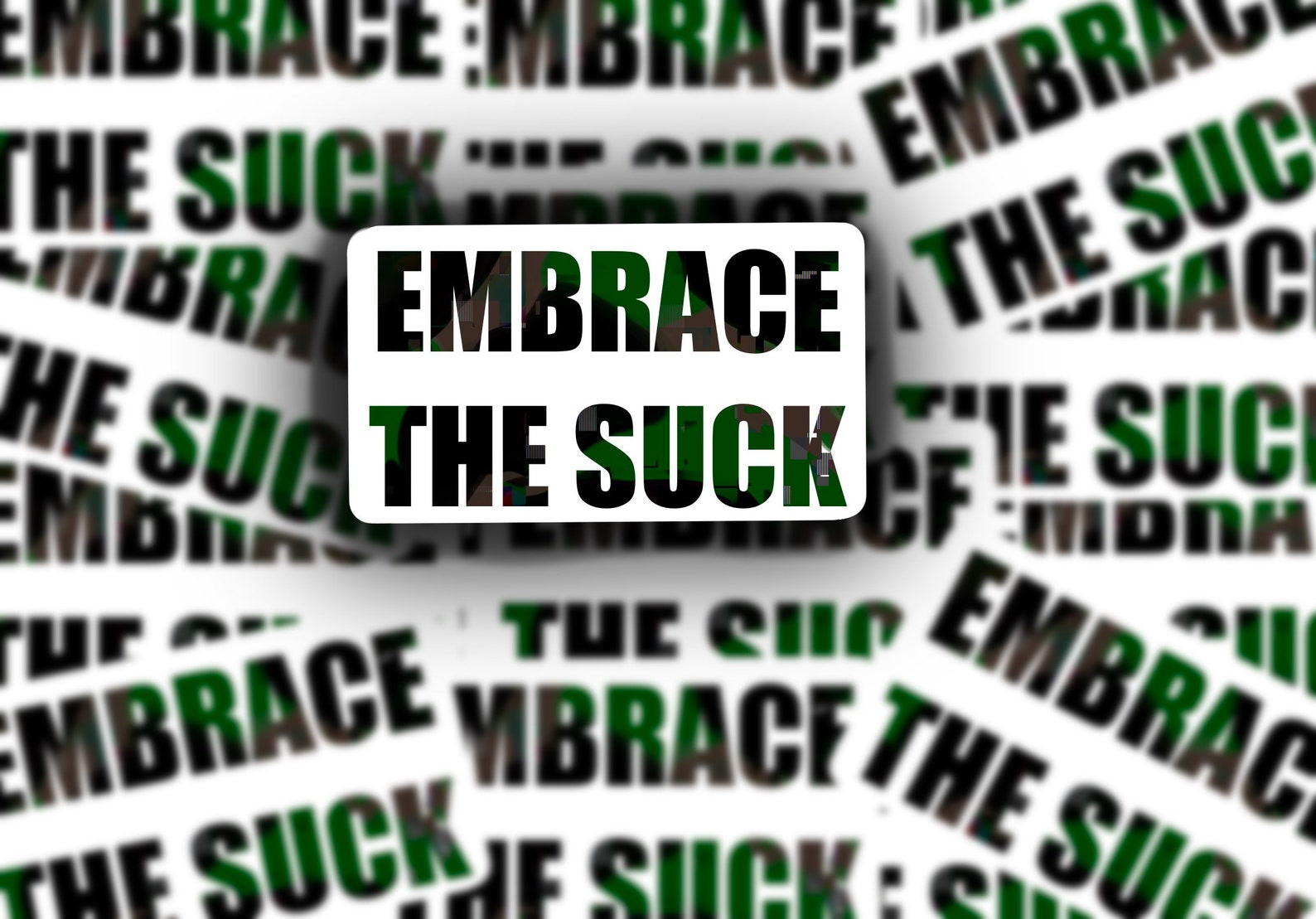 embrace the suck meaning embrace the suck meaning