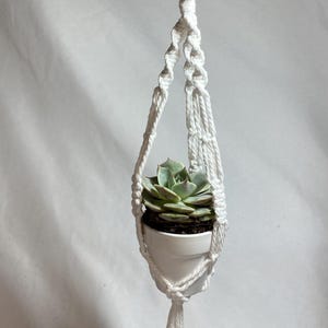 May include: A white macrame plant hanger with a small succulent in a white ceramic pot. The plant hanger is suspended from a metal ring and rod, showcasing a handcrafted design. The succulent has green leaves.