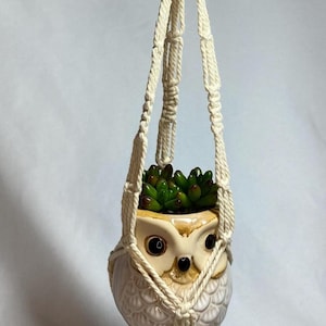 May include: Cream-colored macrame plant hanger with an owl-shaped ceramic pot. The pot is filled with green succulents. The owl pot has large eyes and a beak. The macrame has a tassel at the bottom.