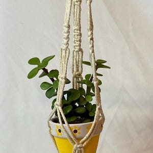 May include: A handmade macrame plant hanger in natural off-white cord, holding a small yellow pot with a daisy design. The pot contains a green succulent plant. The hanger is suspended from a metal ring.
