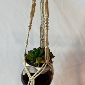 May include: A hanging macrame plant holder with a small, dark brown ceramic pot containing a succulent plant. The macrame is beige and knotted, with a metal ring for hanging. The plant has green leaves.