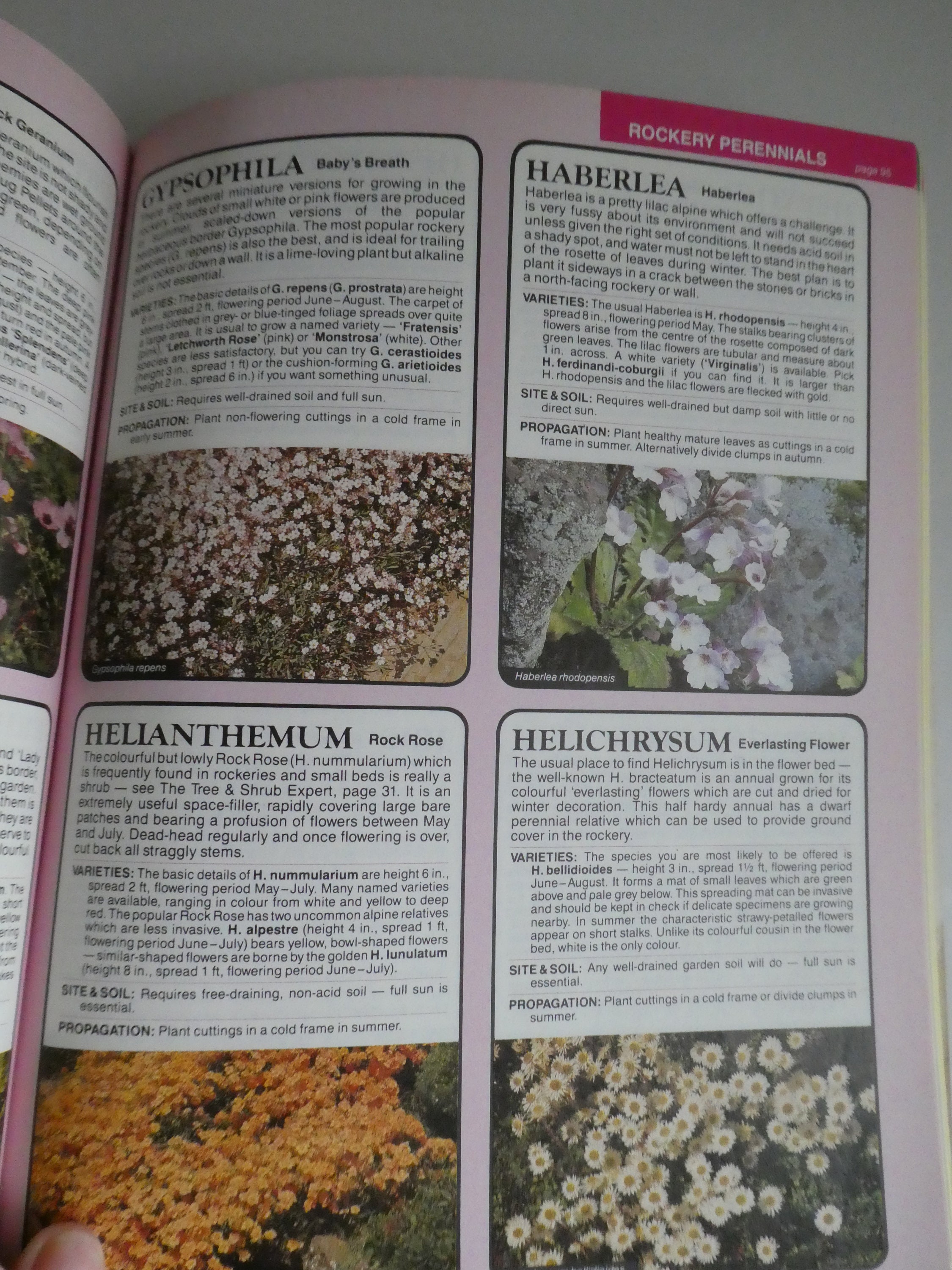 Gardening dr hessayon picture