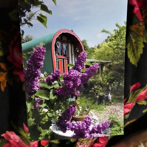 Gypsy Caravan - Mini Print - Romany- Ready to frame - Lilac Blossom - Caravan - Vardo - Gipsy Wagon - Spring Garden - 1 of a set small size