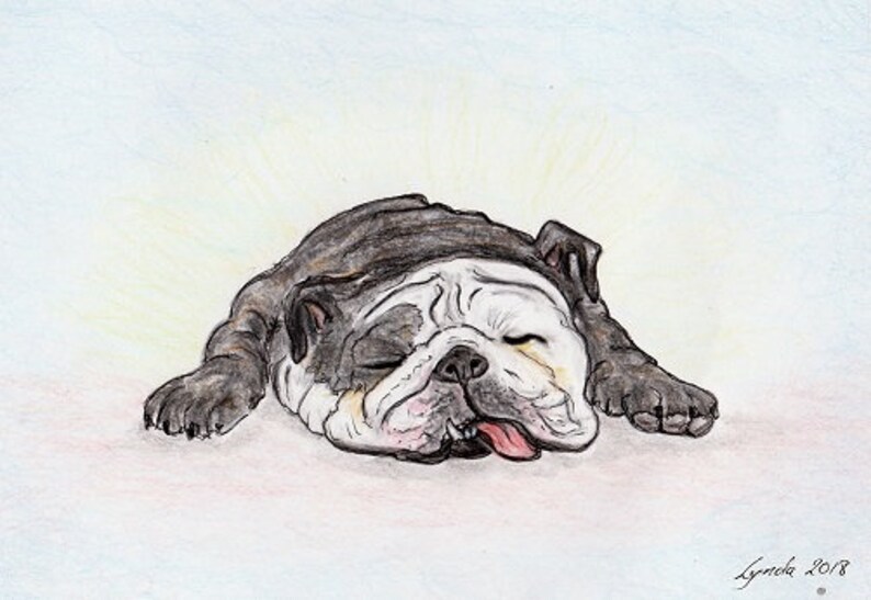 Sleeping Bulldog Print 20x25cm Original Dog Asleep Etsy