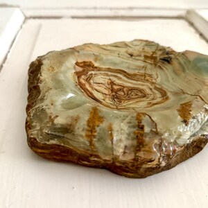 Cenicero/bol de piedra de ónix natural veteada tallada a mano, estilo vintage, con borde sin tratar, 7" imagen 2
