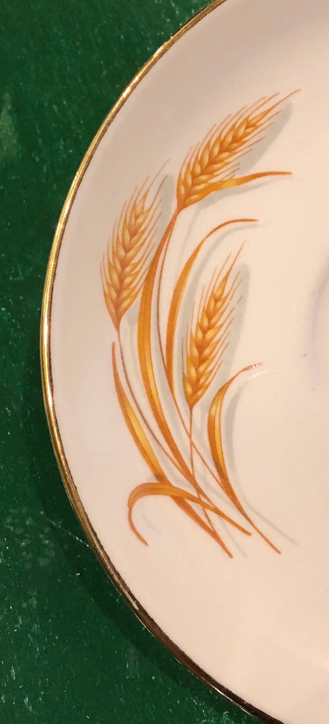 Homer Laughlin Golden Wheat Plates Two Bread and Six China Etsy UK