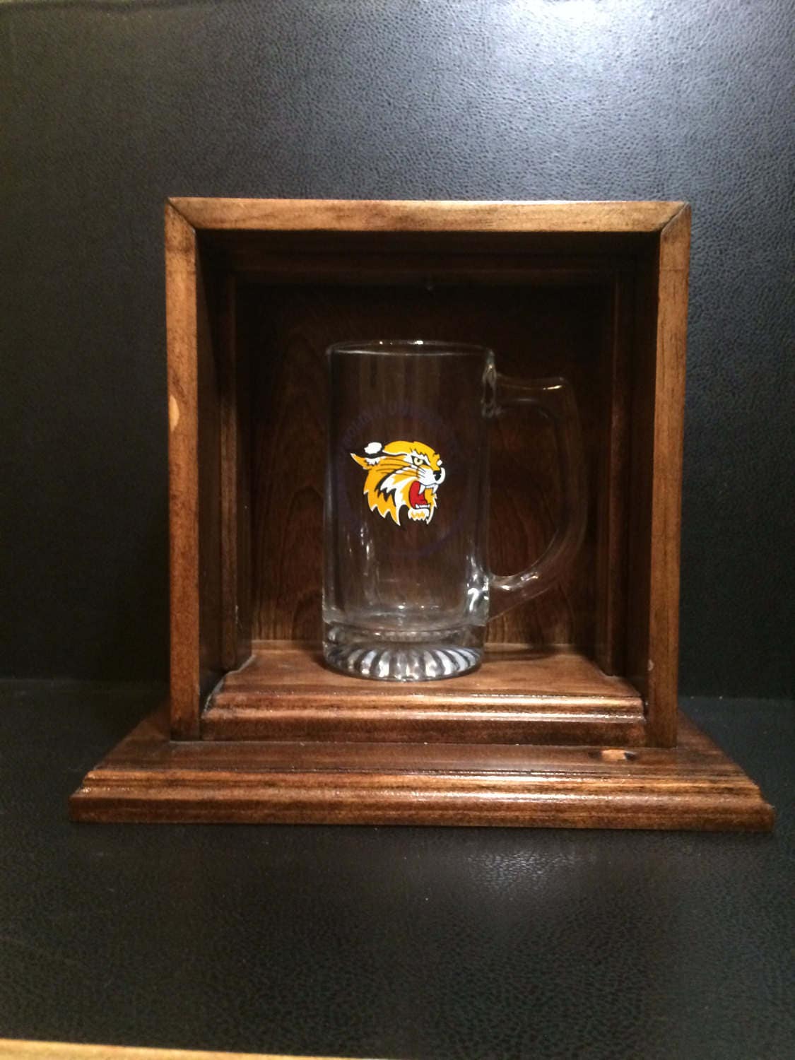 Custom Made Single Glass Display Case With RGB LED lights Etsy