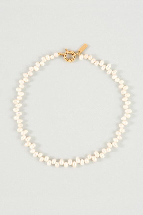 Concha Necklace