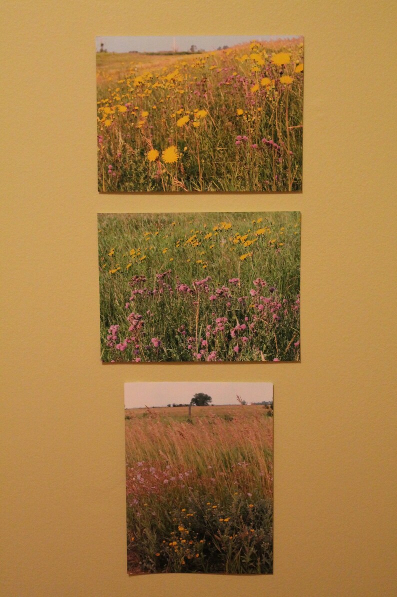 Prairie Photo Grouping