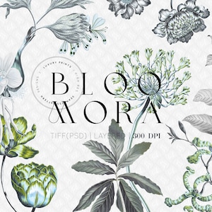 May include: A digital graphic design featuring botanical illustrations of various flowers and leaves in shades of green, white, and gray. The text BLOOMORA is centered in black, surrounded by circular text reading LUXURY PRINTS, HIGH RES, SEAMLESS PATTERN, and the text TIFF(PSD) | LAYERED | 300 DPI.