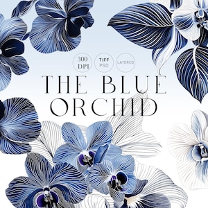Die blaue Orchidee, Luxus, nahtlose Rapportmuster und Motive für Stoffe, Mode, Tapeten, Geschenkverpackungen und vieles mehr.