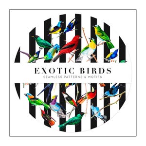 Exotic Birds | Tropical Songbirds & Stripes Seamless Pattern |  Prints and Motifs for Fabric, Wallpaper, and Home Decor (Digital Download)