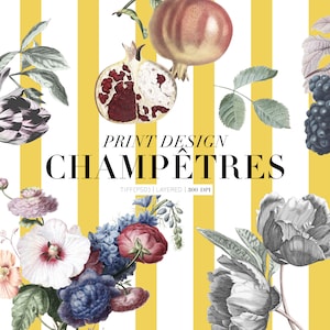 Champêtres, Bold and exquisite print patterns.