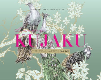 Kujaku, Hand painted watercolour Patterns