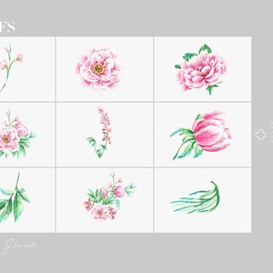 Op de afbeelding: Negen aquarel bloemmotieven in roze en groen, waaronder pioenrozen en bladeren, gerangschikt in een raster. Het woord "MOTIFS" staat bovenaan en de tekst onderaan luidt "Federico Giusti". Individuele motieven kunnen afzonderlijk worden gebruikt.