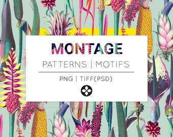 May include: A seamless pattern featuring colorful tropical flowers and plants on a light blue background. The text "MONTAGE PATTERNS | MOTIFS PNG | TIFF (PSD)" is displayed in a white rectangle.
