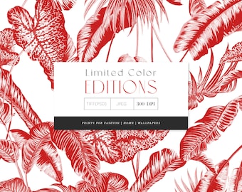 Limited Color Editions Print Patterns 002