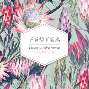 May include: A seamless pattern featuring pink and red protea flowers with green leaves on a light green background. The text "PROTEA Quality Seamless Pattern PNG/TIFF/PSD" is in a white hexagon.
