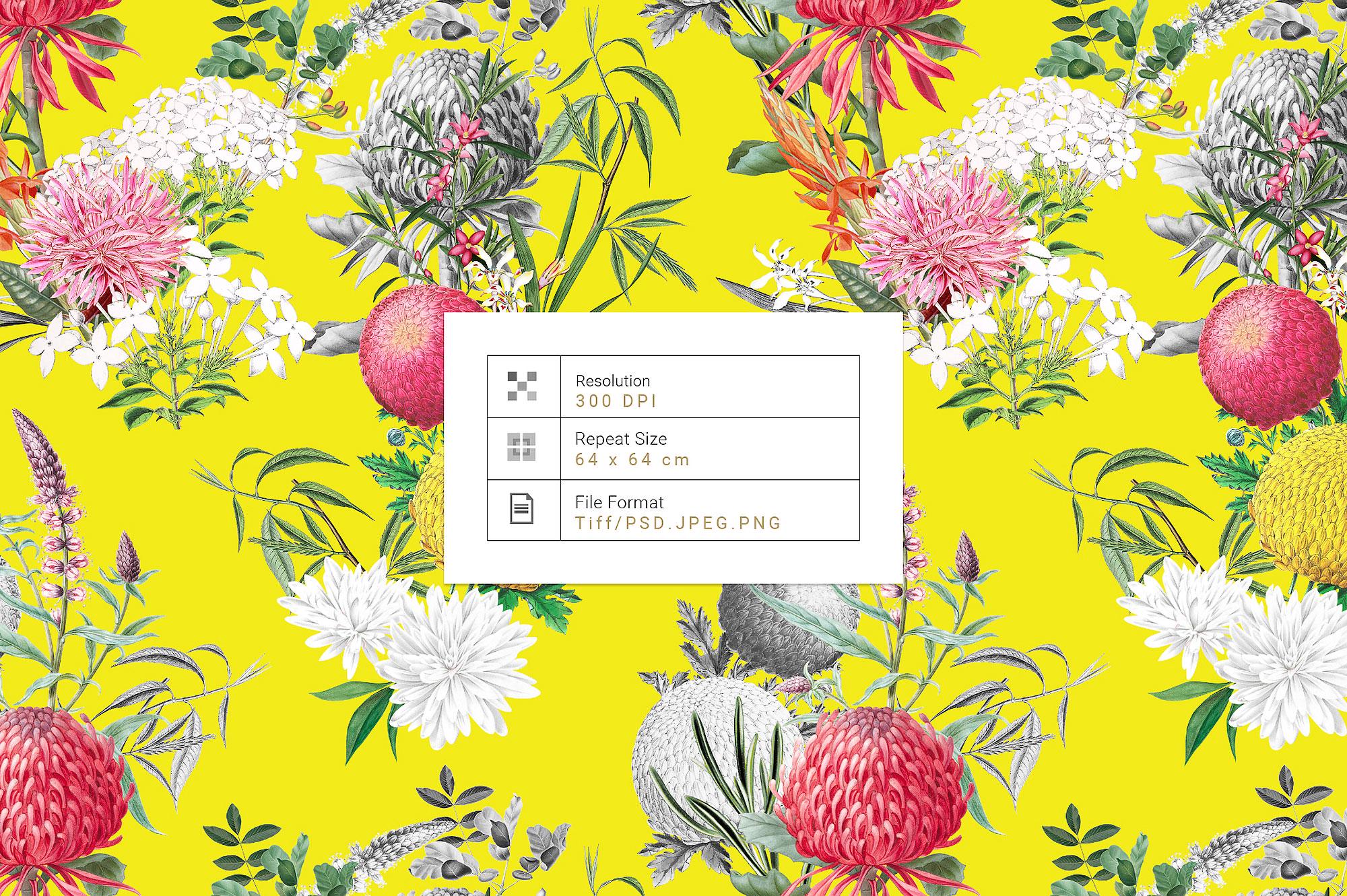 Verano, Vibrant Spring Summer Prints & Motifs. - Etsy