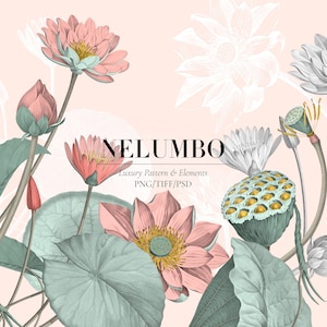 Diseño de flor de loto: impresiones de alta resolución (descarga digital)