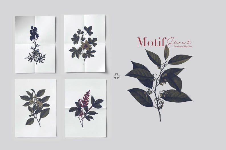 Puede incluir: Conjunto de cinco ilustraciones bot&aacute;nicas que representan diferentes plantas con hojas verde oscuro y flores delicadas. Las ilustraciones est&aacute;n impresas en papel blanco y tienen un aspecto vintage.