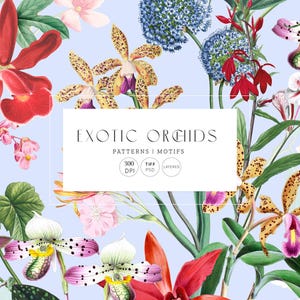 Estampados y motivos sin costuras de orquídeas exóticas