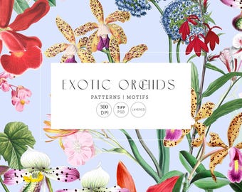 Exotic Orchids Seamless Prints & Motifs