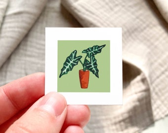 Mini 1&quot; Alocasia Houseplant, African Mask Indoor Plants Botanical Watercolor  Tiny Art PRINT