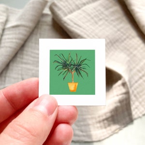 Mini 1&quot; Dracaena Houseplant, Madagascar Dragon Tree Indoor Plants Botanical Watercolor  Tiny Art PRINT