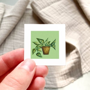 Mini 1&quot; Pothos Philodendron Houseplant, Indoor Plants Botanical Watercolor  Tiny Art PRINT
