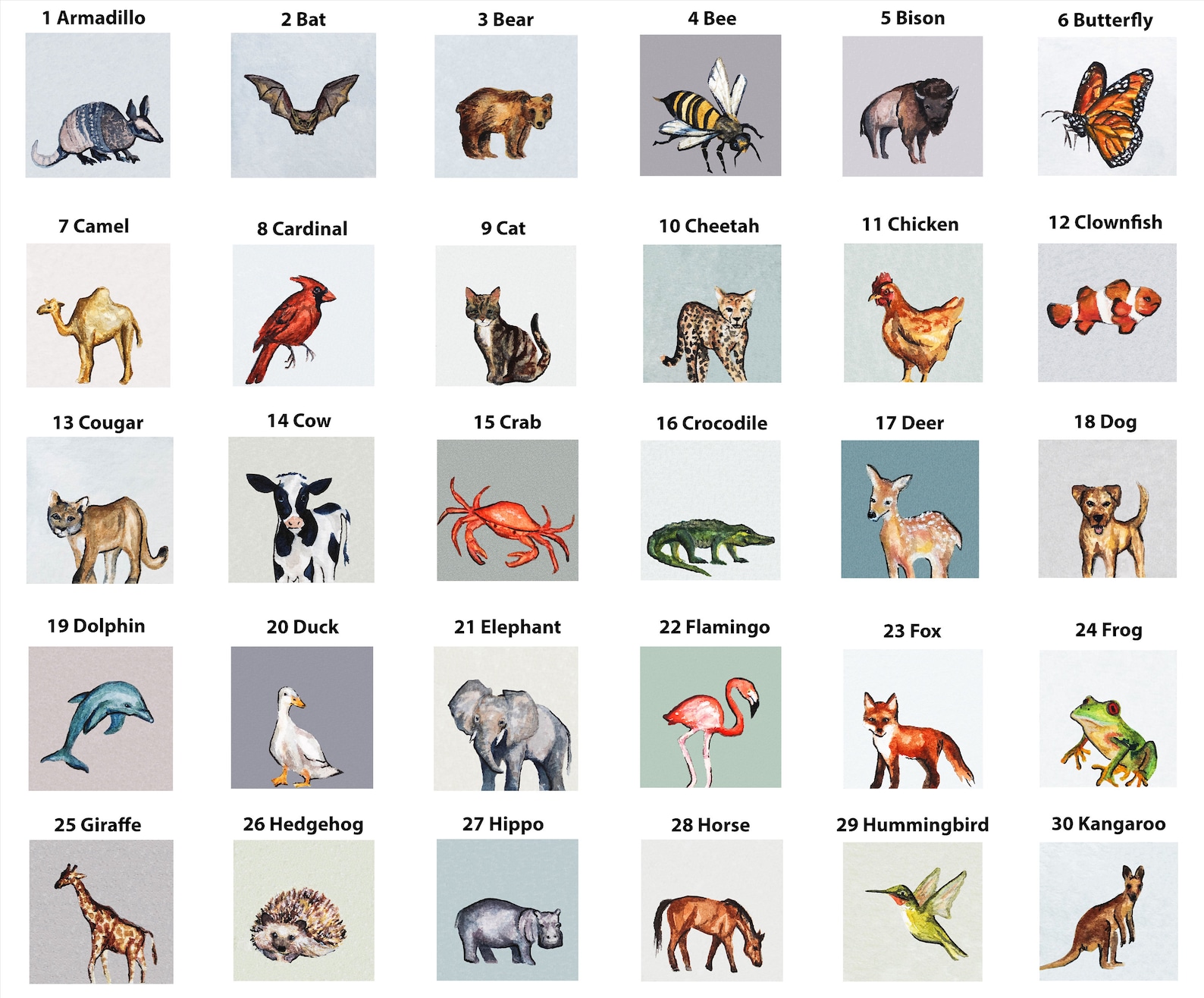 Mini 1 Bunny Rabbit Animal Print