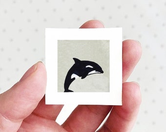 Mini 1" Orca Killer Whale Animal Print Tiny Watercolor  Art PRINT