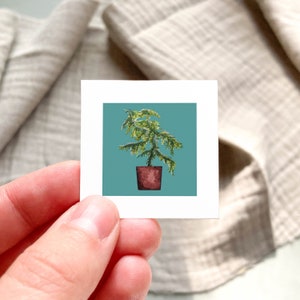 Mini 1&quot; Norfolk Island Pine Houseplant, Indoor Plants Botanical Watercolor  Tiny Art PRINT