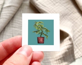 Mini 1" Norfolk Island Pine Houseplant, Indoor Plants Botanical Watercolor  Tiny Art PRINT