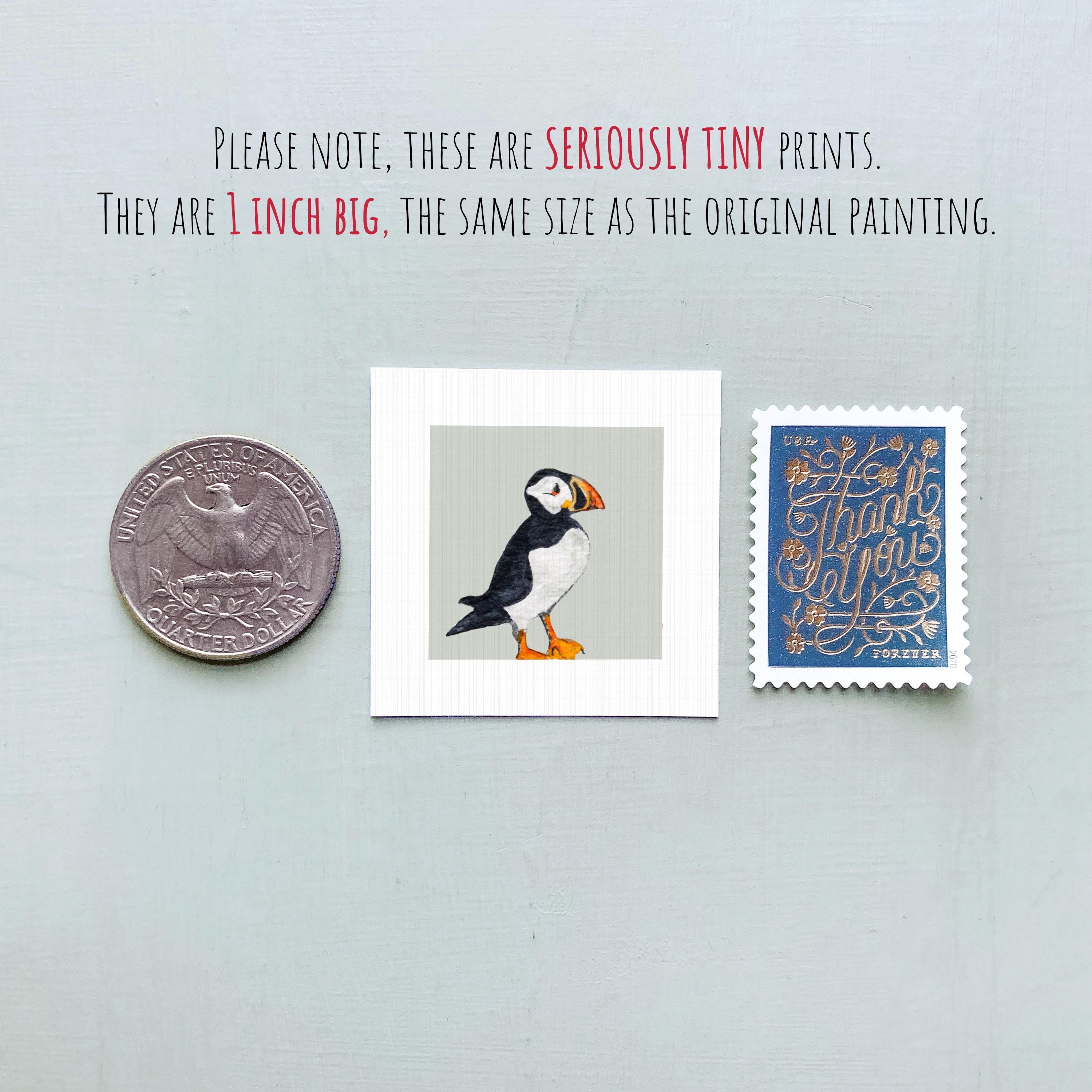 Mini Puffin Pattern Banknote Miniature Puffin Bird Art PRINT - Tiny Gouache 1-inch Mini Wall Decor ...