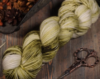 Lichen - Hand dyed Merino yarn, 100g Worsted, speckled, superwash