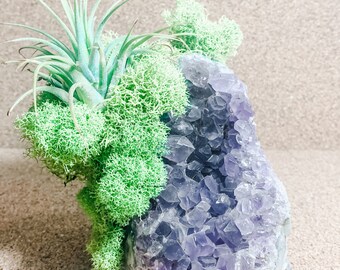 Sister Gift, Amethyst Geode Girlfriend Gift, BFFL Gift, Soul Sister Gift, Crystal Airplant Garden, Chakra Healing Gift, Gemstone Anniversary