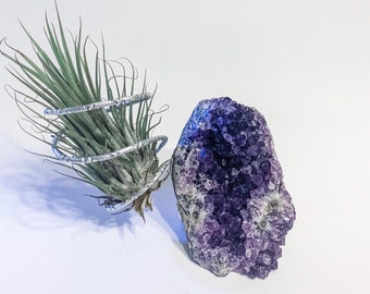 Air Plant Holder, Crystal Thank You Gift, Amethyst Cluster Terrarium Gift, Best Friend Coworker Gift, Hostess Gift, Friend Her Him Gift, Raw