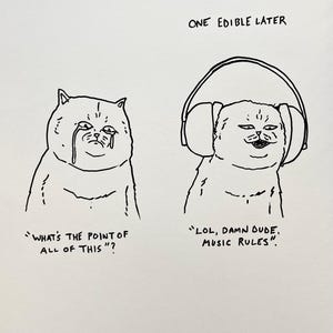 Könnte beinhalten: Eine Schwarzweiß-Zeichnung einer Katze mit einer Gedankenblase über ihrem Kopf. Die Katze weint und die Gedankenblase sagt "Was ist der Sinn von all dem?" Das zweite Bild zeigt die gleiche Katze mit Kopfhörern und einer Gedankenblase über ihrem Kopf, die sagt "LOL, Alter. Musik regiert."