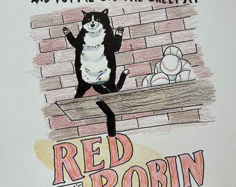 May include: A black and white cat with a white belly is standing on a wooden shelf. The cat is holding its paws up in the air. The shelf is above a brick wall. The cat is in front of a sign that says "Red Robin America's Gourmet Burgers and Spirits".